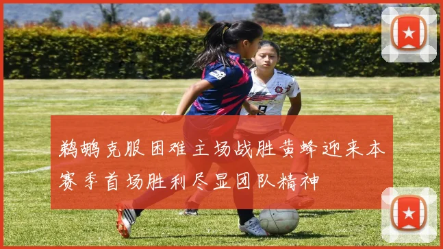 鹈鹕克服困难主场战胜黄蜂迎来本赛季首场胜利尽显团队精神