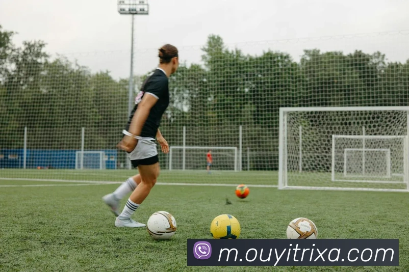 App Interface Preview